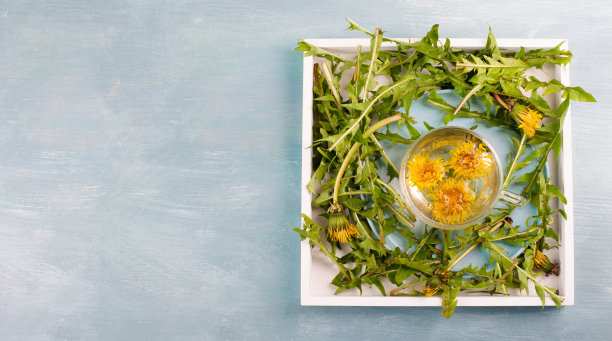 蒲公英野花茶，玻璃与草药热饮，替代药物排毒，叶和花图片下载