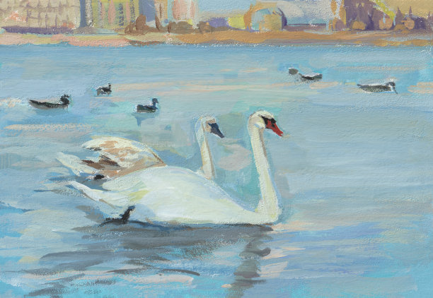 天鹅夫妇水粉画。图片下载