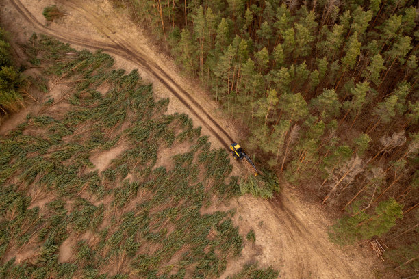 无人机拍摄的林业机器捡起小树和运输图片下载