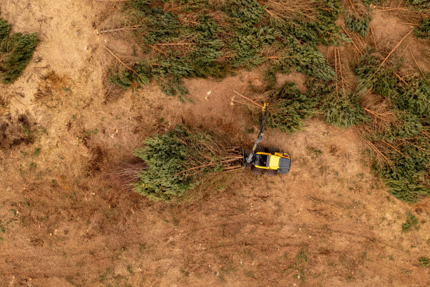 无人机拍摄的林业机器捡起小树和运输图片下载