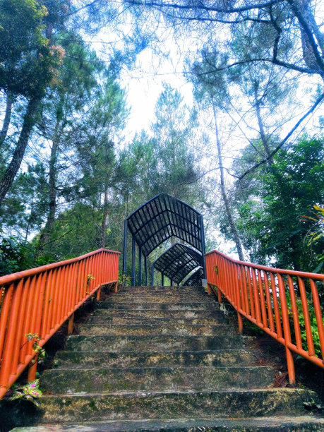 一百层楼梯图片下载