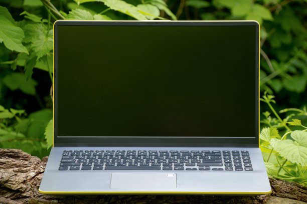 灰色的笔记本电脑在森林里的草地上，在春天午后的阳光下图片下载
