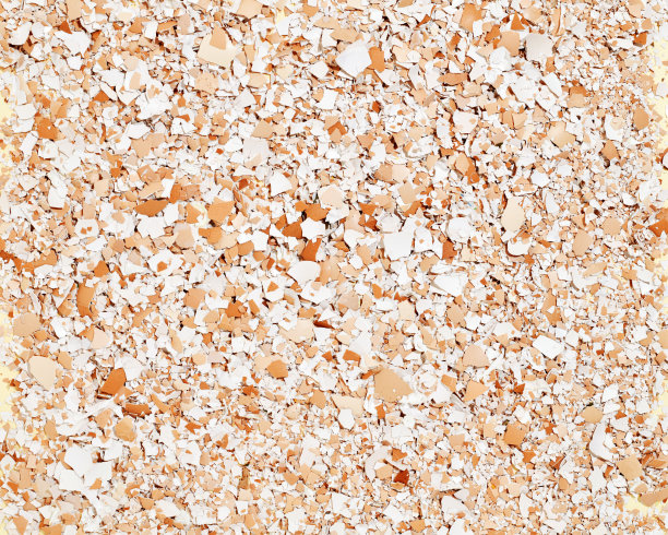 展示蛋壳碎片在不同的颜色和纹理。这张自上而下的照片提醒我们大自然的脆弱和生命的短暂，敦促我们保护它的微妙元素。图片下载