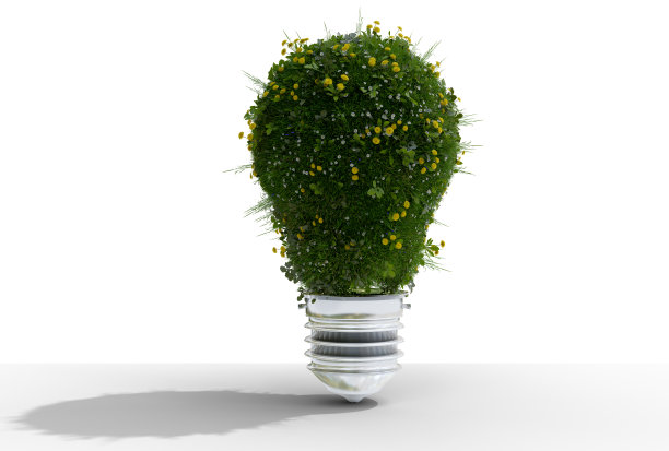 草地在树球茎形状的白色背景图片下载