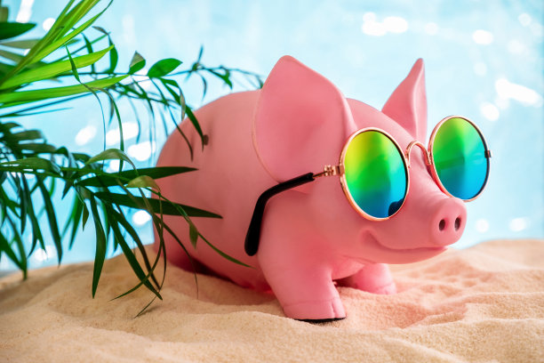 有趣的夏季旅行和暑假海报，可爱的猪戴着太阳镜在沙滩上。图片下载
