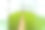 有蔬菜的温室。大型工业温室。有机温室图片下载