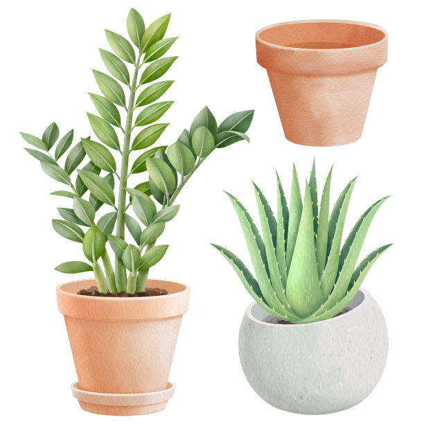 盆栽植物水彩画风格图片下载