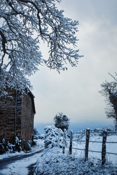 冬天的场景，一个被雪覆盖的旧谷仓图片下载