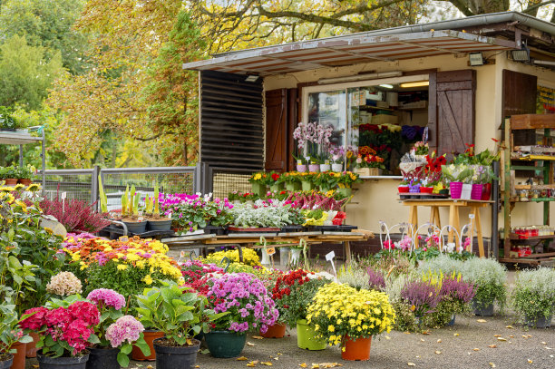 人行道上五颜六色的花。图片下载
