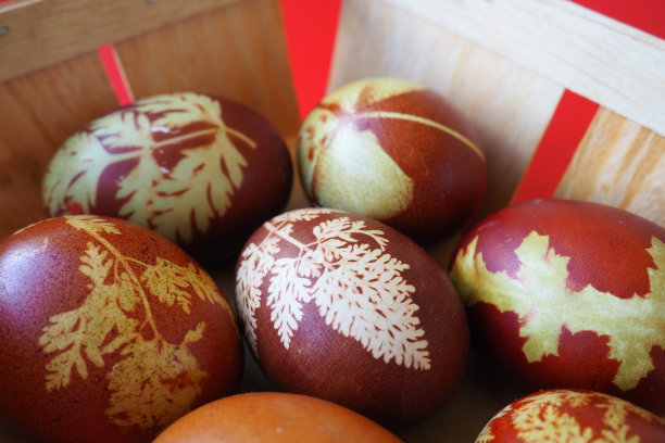 复活节篮子特写，里面有五颜六色的彩蛋。煮鸡蛋，有红色和棕色的壳，按照传统的食谱用洋葱皮染色。用植物叶子做成的花卉图案。图片下载
