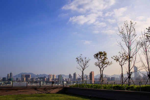 蓝天白云下，以树木和城市为背景的公园景观。图片下载