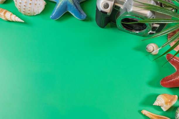 绿色背景上的沙滩饰品。夏天即将到来的概念。图片下载