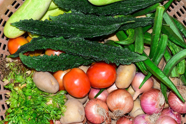 蔬菜，洋葱，苦瓜，黄瓜，番茄，小拇指和芫荽叶图片下载