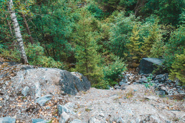 悬崖边上的岩石上有松树的根和树干。图片下载
