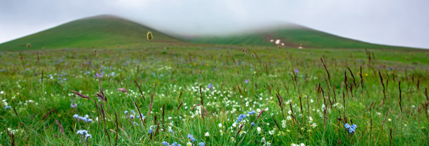 花与山图片下载