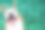 一只快乐的狗狗享受生活，给你的短信留出空间图片下载