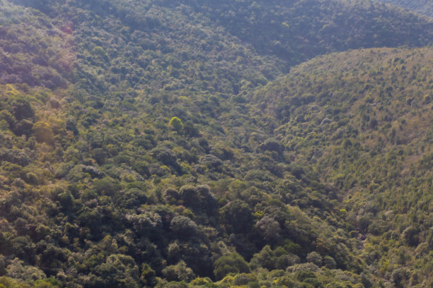 香港旅行图片下载