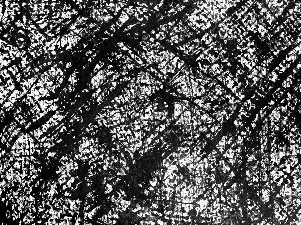 黑白杂色。遇险叠加纹理。摘要表面图片下载