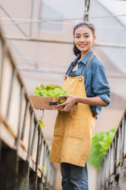 篮子里装着新鲜蔬菜，亚洲农民妇女在泰国当地农场或温室里拿着装满生蔬菜的木箱，农业经营理念中有机食品的收获图片下载