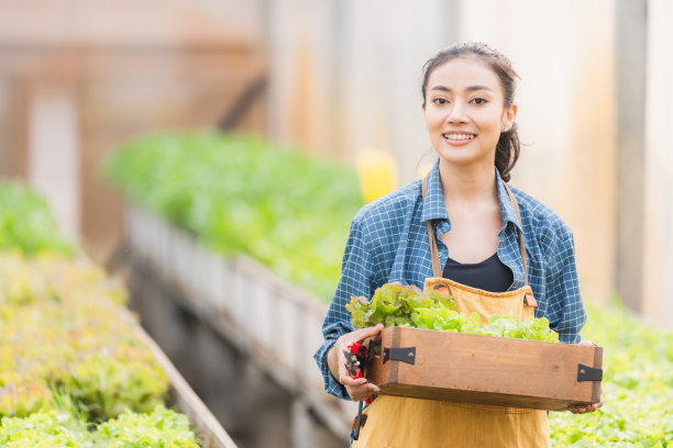 篮子里装着新鲜蔬菜，亚洲农民妇女在泰国当地农场或温室里拿着装满生蔬菜的木箱，农业经营理念中有机食品的收获图片下载