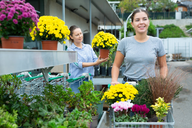 在花园市场，兴高采烈的女顾客推着购物车挑选花盆里的菊花图片下载