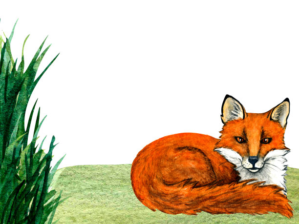 水彩狐狸在森林草坪的场景。林地手绘动物插图为儿童设计，明信片，海报和印刷。幼儿园设计的剪贴画。图片下载