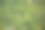 春天或夏天，年轻的绿色森林的俯视图图片下载