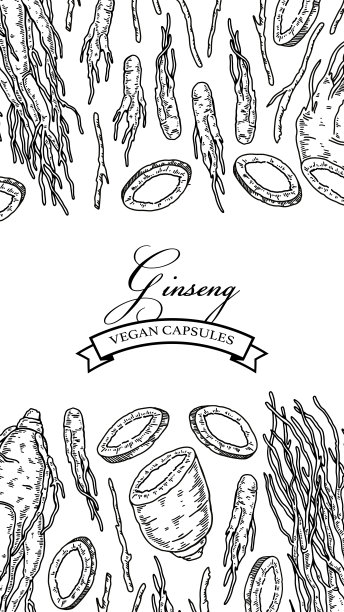 人参垂直设计。手绘植物矢量插图素描风格。可用于包装、标签、徽章。草药背景图片下载