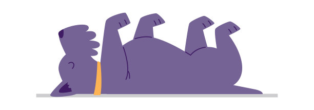 躺着的狗做瑜伽图片下载