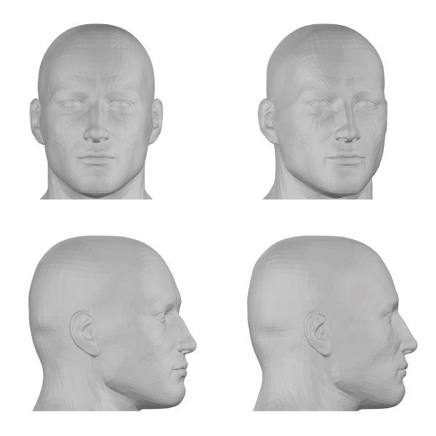 在白色背景上孤立的灰色多边形雄性头的集合。前视图，侧视图。3 d。矢量插图。图片下载