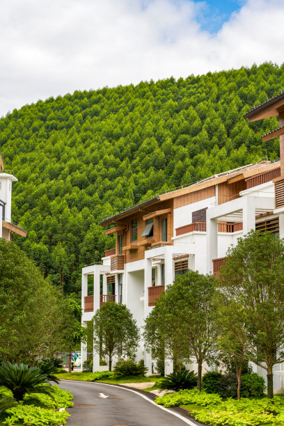 中国豪华房地产联排别墅的景观图片下载