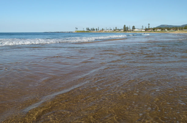 放大会议的虚拟背景水边在海滩上图片下载