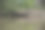 Zoom在河中会见虚拟背景岩层图片下载