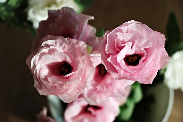 女士粉色狂欢节面具图片下载