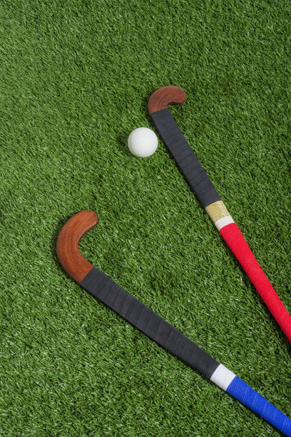 俯视着草皮上一对带着球的曲棍球棍图片下载