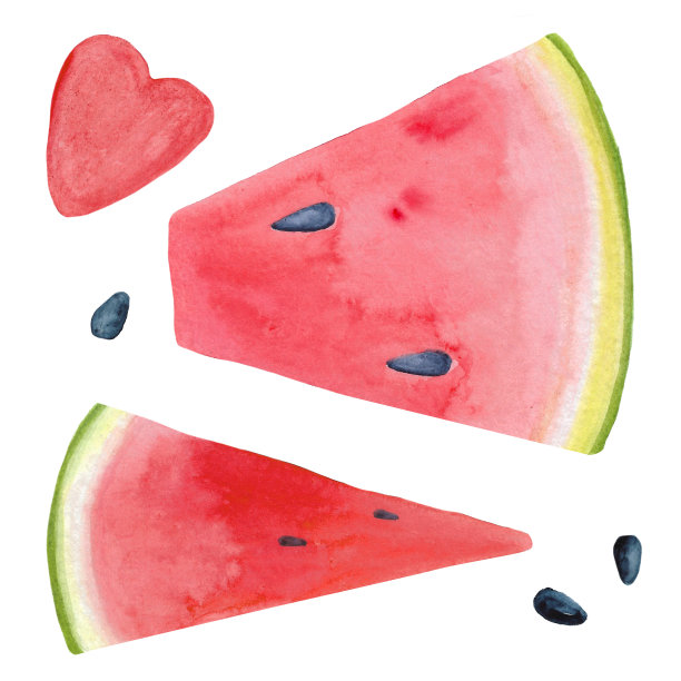 手绘水彩多汁西瓜切片和瓜子插画图片下载