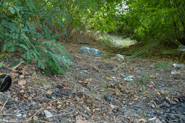 垃圾倾倒在森林里，散落在草地上。野餐后树林里的塑料垃圾。图片下载