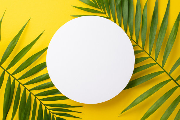 准备好迎接夏天，这个充满活力的顶视图平躺照片具有新鲜的绿色棕榈叶在阳光明媚的黄色背景与空间的信息或广告图片下载