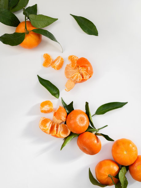 由新鲜成熟的橘子和树叶在白色的背景组成图片下载