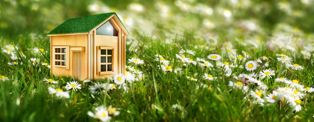居住在绿色，木屋模型在雏菊草地，象征性的自然场景概念的财产，可持续居住和生活方式图片下载