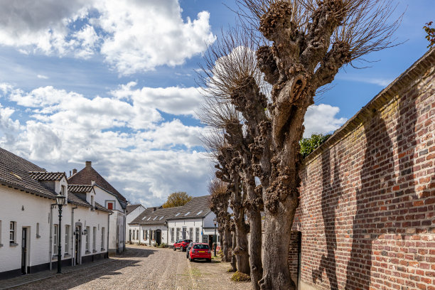 鹅卵石街道上砖篱笆旁的柳树和白色墙壁的房屋构成了城市景观图片下载