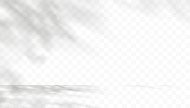 树叶阴影覆盖在透明背景上，树枝棕榈叶，热带树叶剪影树叶阴影覆盖在透明背景上，树枝棕榈叶，热带树叶剪影图片下载