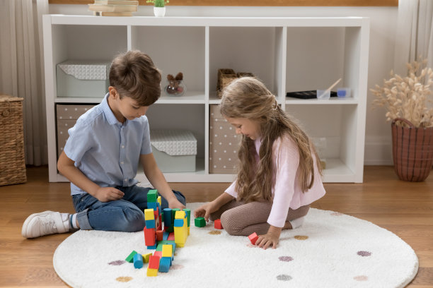 两个兄弟姐妹一起做房子模型图片下载