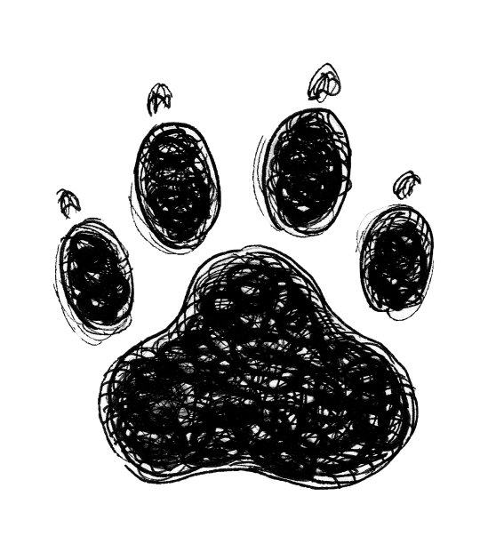 狗爪印图片下载