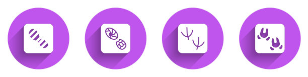 设置人类脚印鞋，，鸽子爪和野猪长影子图标。向量图片下载