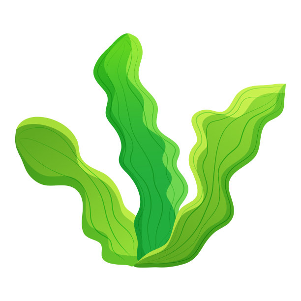 绿藻呼啸的叶子。水族植物矢量插图。水下植物图片下载