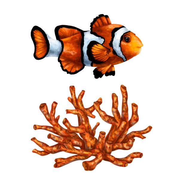 一套橙色的海洋物品小丑鱼和红珊瑚。热带海底世界，数字插图。用于设计、包装、印刷、海报、纺织品、纪念品图片下载
