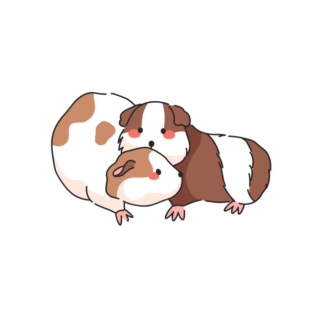 一对豚鼠或仓鼠。矢量隔离插图。图片下载