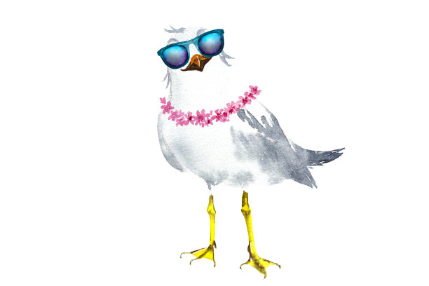 一只卡通海鸥的水彩插图。海鸥戴眼镜，水彩画，白色背景图片下载