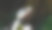 不同颜色的蜥蜴头部图像图片下载